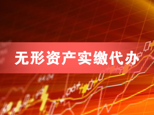 武冈无形资产实缴资本代办