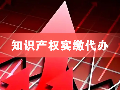 武冈知识产权实缴资本代办